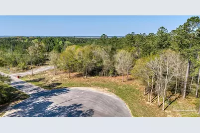 Lot 42 Buffalo Ridge Rd, Pace, FL 32571 - Photo 5