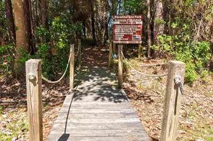 1513 Lighthouse Ct, Gulf Breeze, FL 32563 - Photo 37