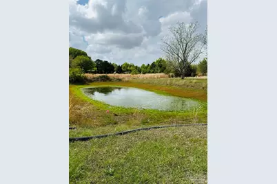 5568 Forest Hills Ln, Milton, FL 32570 - Photo 5