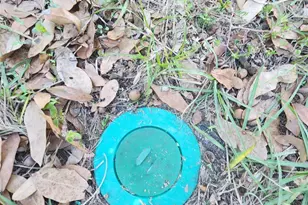 204 Ruth St, Pensacola, FL 32507 - Photo 21