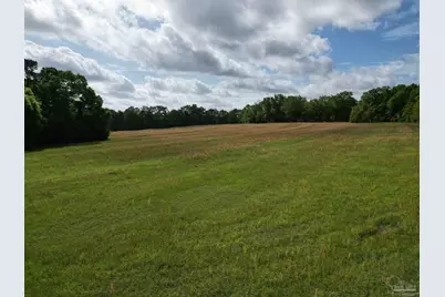 1350 W Hwy 4, Century, FL 32535 - Photo 9