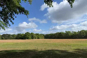 1350 W Hwy 4, Century, FL 32535 - Photo 1