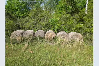 1350 W Hwy 4, Century, FL 32535 - Photo 13