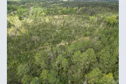 8200 Blk Grimes Rd, Century, FL 32535 - Photo 7