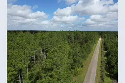 8200 Blk Grimes Rd, Century, FL 32535 - Photo 3