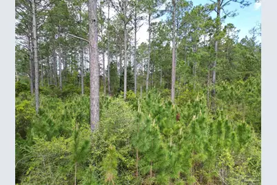 8200 Blk Grimes Rd, Century, FL 32535 - Photo 1