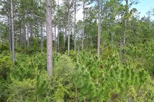 8200 Blk Grimes Rd, Century, FL 32535 - Photo 1