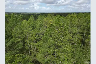 8200 Blk Grimes Rd, Century, FL 32535 - Photo 9