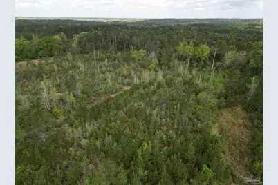 8200 Blk Grimes Rd, Century, FL 32535 - Photo 5