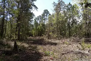 6552 Kensara Dr, Milton, FL 32583 - Photo 1