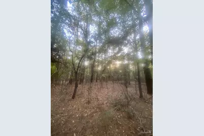 13 Acres Hwy 4, Jay, FL 32565 - Photo 3