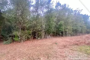 13 Acres Hwy 4, Jay, FL 32565 - Photo 1