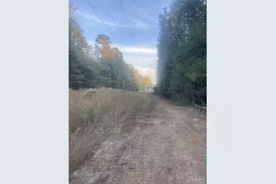 13 Acres Hwy 4, Jay, FL 32565 - Photo 9