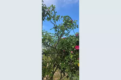 8149 Tacos Ln, Milton, FL 32570 - Photo 19