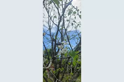 8149 Tacos Ln, Milton, FL 32570 - Photo 15