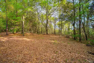 2066 Sid Hayes Rd, Jay, FL 32565 - Photo 25