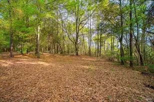 2066 Sid Hayes Rd, Jay, FL 32565 - Photo 25