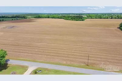 3B Mineral Springs Rd, Jay, FL 32565 - Photo 13