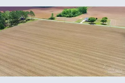 3B Mineral Springs Rd, Jay, FL 32565 - Photo 5