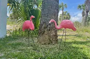 1207 Ariola Dr, Pensacola Beach, FL 32561 - Photo 3