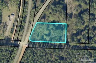 000 Pat Brown Rd, Milton, FL 32570 - Photo 1