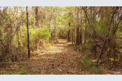 Tbd Corley Rd, Walnut Hill, FL 32568 - Photo 15