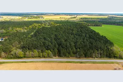 Tbd Corley Rd, Walnut Hill, FL 32568 - Photo 19