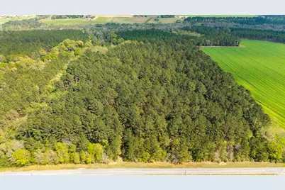 Tbd Corley Rd, Walnut Hill, FL 32568 - Photo 21