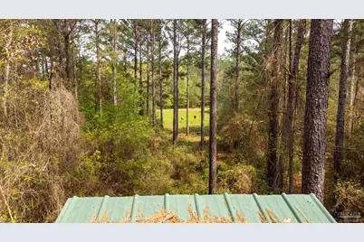 Tbd Corley Rd, Walnut Hill, FL 32568 - Photo 17