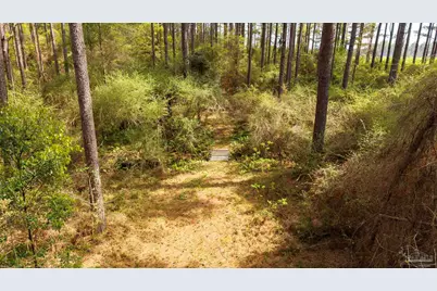 Tbd Corley Rd, Walnut Hill, FL 32568 - Photo 13