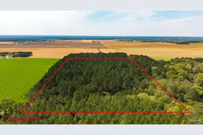 Tbd Corley Rd, Walnut Hill, FL 32568 - Photo 1