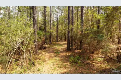 Tbd Corley Rd, Walnut Hill, FL 32568 - Photo 9