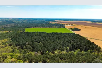 Tbd Corley Rd, Walnut Hill, FL 32568 - Photo 3