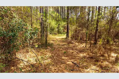 Tbd Corley Rd, Walnut Hill, FL 32568 - Photo 11