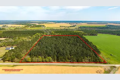 Tbd Corley Rd, Walnut Hill, FL 32568 - Photo 5