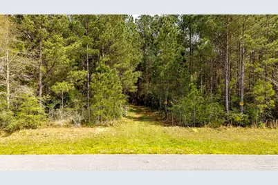 Tbd Corley Rd, Walnut Hill, FL 32568 - Photo 7