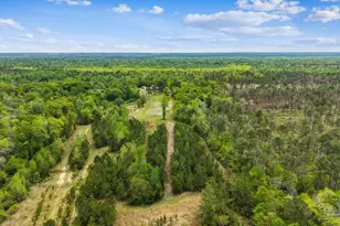 241 S Century Blvd, McDavid, FL 32568 - Photo 53