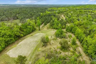 241 S Century Blvd, McDavid, FL 32568 - Photo 51