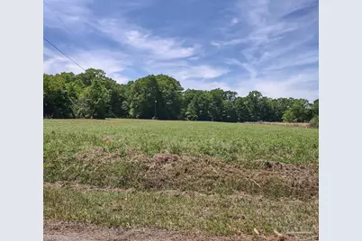 521 Cox Rd, McDavid, FL 32568 - Photo 31