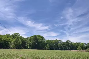 521 Cox Rd, McDavid, FL 32568 - Photo 31