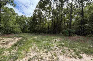 2653 Nelsontown Rd, Jay, FL 32565 - Photo 37