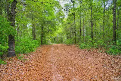 2855 Walling Rd, Milton, FL 32570 - Photo 3