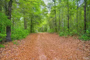 2855 Walling Rd, Milton, FL 32570 - Photo 3