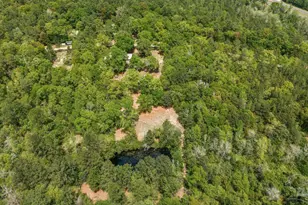 111 Cotton Creek Rd, McDavid, FL 32568 - Photo 33