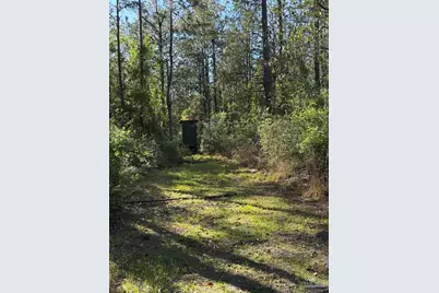 00 Whitfield Rd, Milton, FL 32570 - Photo 15