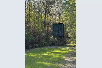 00 Whitfield Rd, Milton, FL 32570 - Photo 11