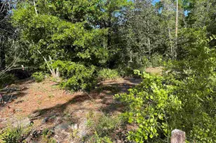 3947 Ward Basin Rd, Milton, FL 32583 - Photo 29