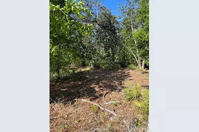 3947 Ward Basin Rd, Milton, FL 32583 - Photo 27