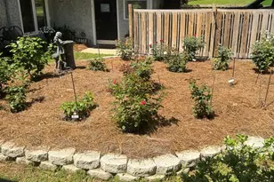 5516 Molino Rd, Molino, FL 32577 - Photo 25