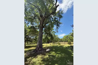 5516 Molino Rd, Molino, FL 32577 - Photo 33